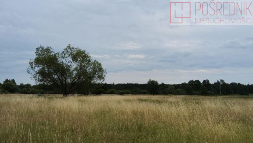 Działka Sprzedaż Buk