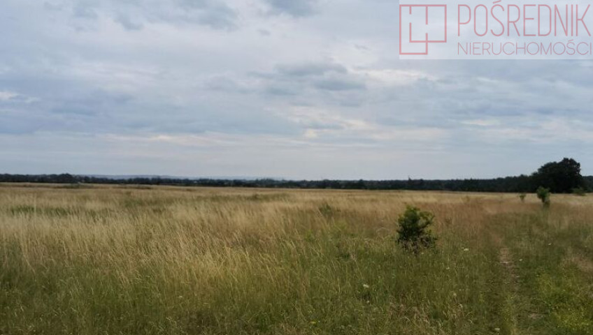Działka Sprzedaż Buk