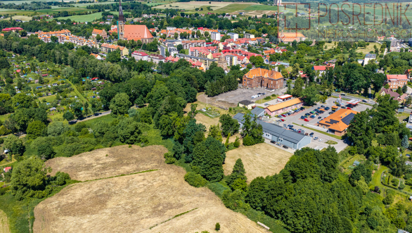 Działka Sprzedaż Chojna