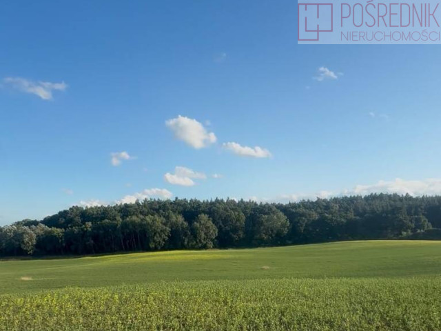 Działka Sprzedaż Buk