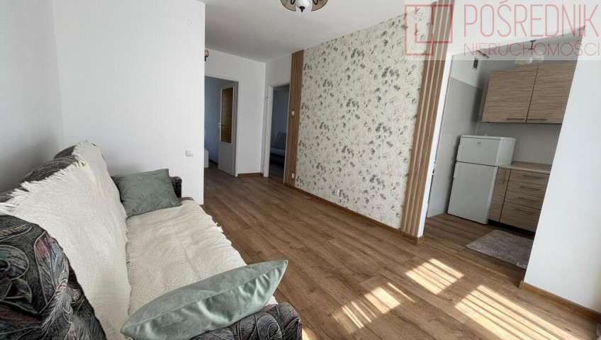 Mieszkanie Wynajem Szczecin Centrum Panieńska