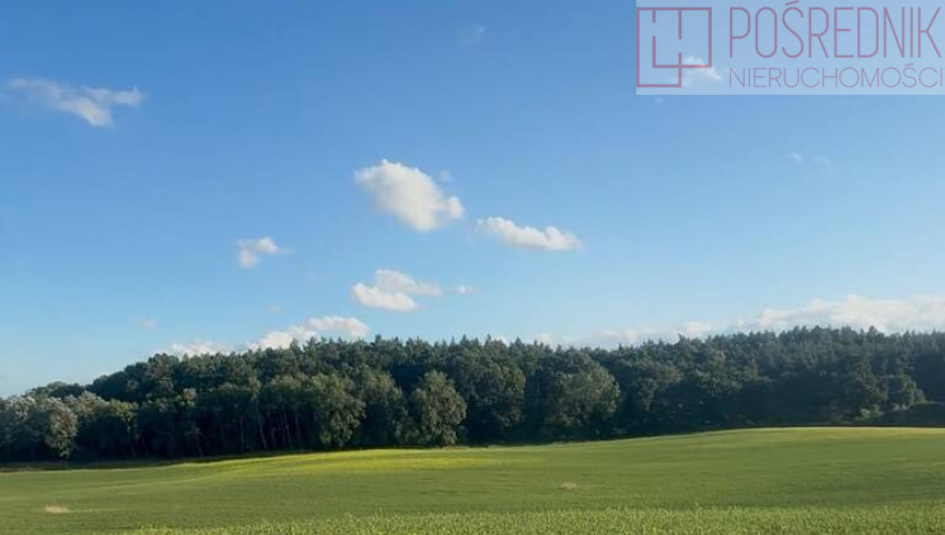 Działka Sprzedaż Buk