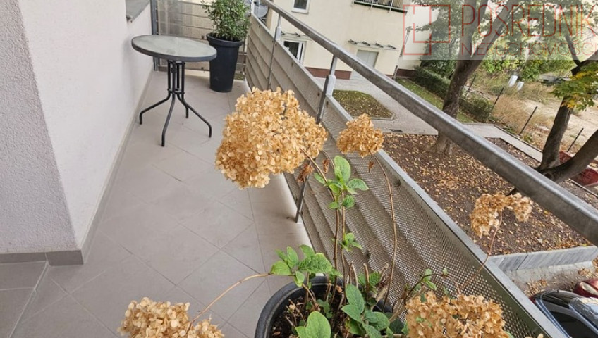 Mieszkanie Wynajem Szczecin Śródmieście-Centrum Księcia Bogusława X