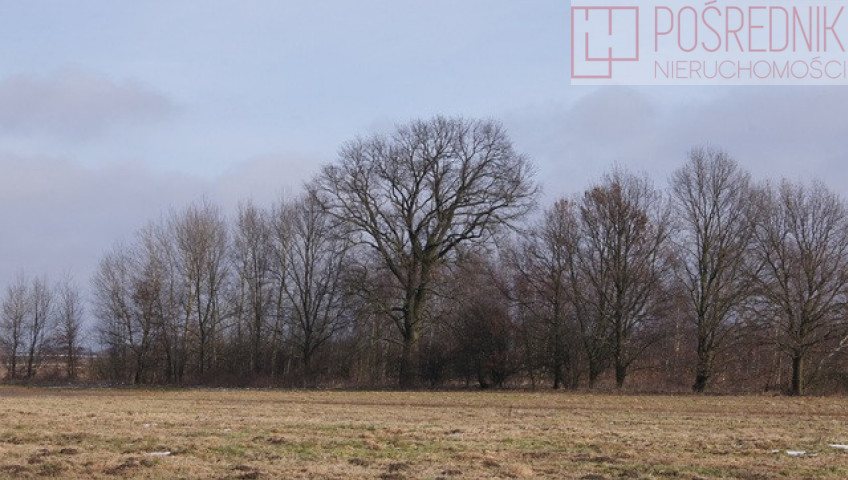 Działka Sprzedaż Jarzębowo