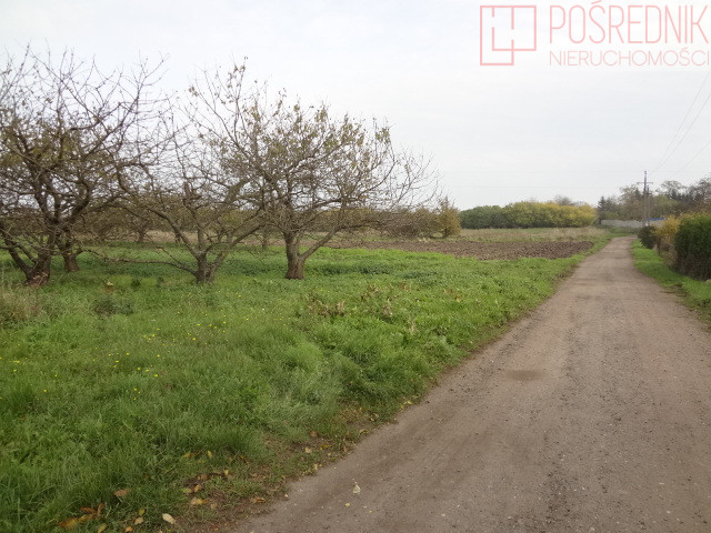 Działka Sprzedaż Stobno