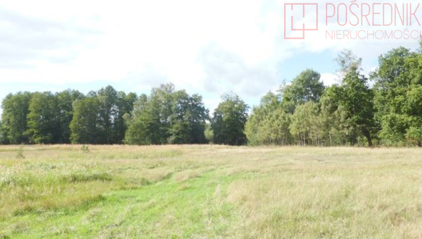 Działka Sprzedaż Grzepnica