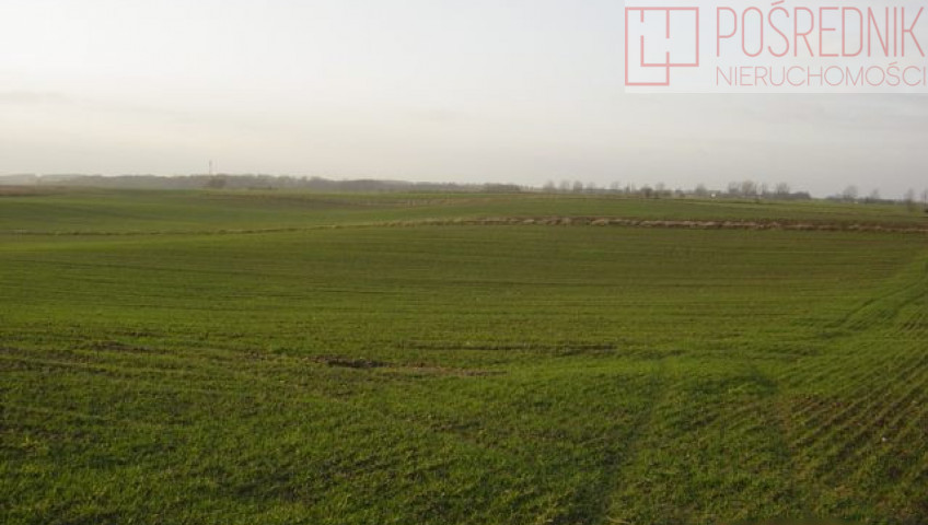 Działka Sprzedaż Siadło Górne