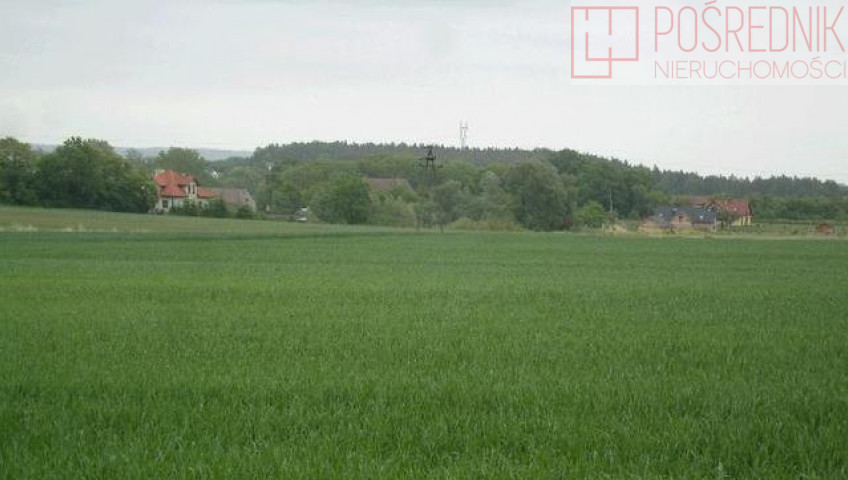 Działka Sprzedaż Siadło Górne