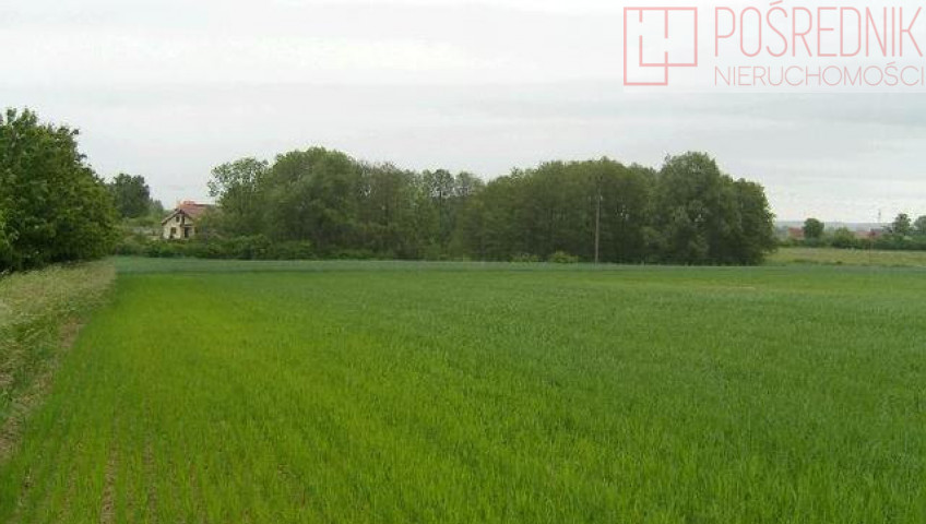Działka Sprzedaż Siadło Górne