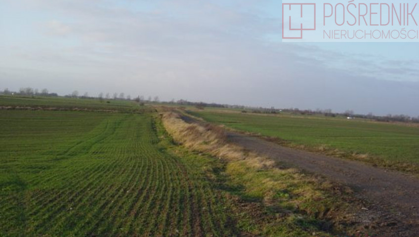 Działka Sprzedaż Siadło Górne