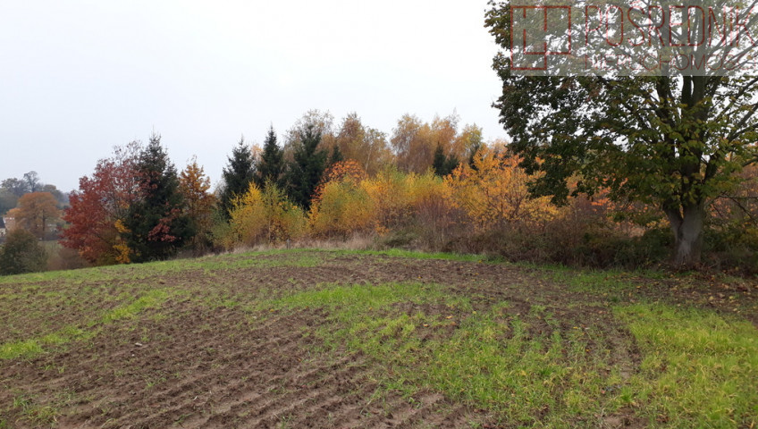 Działka Sprzedaż Danowo