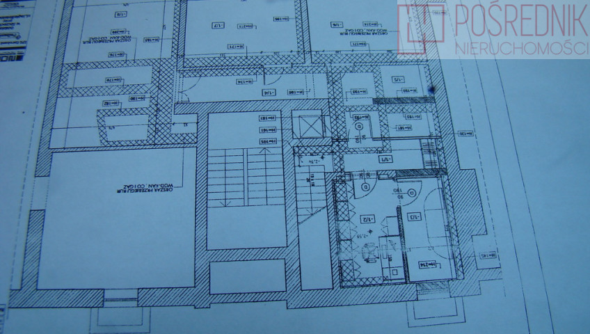 Lokal Wynajem Szczecin Śródmieście-Centrum