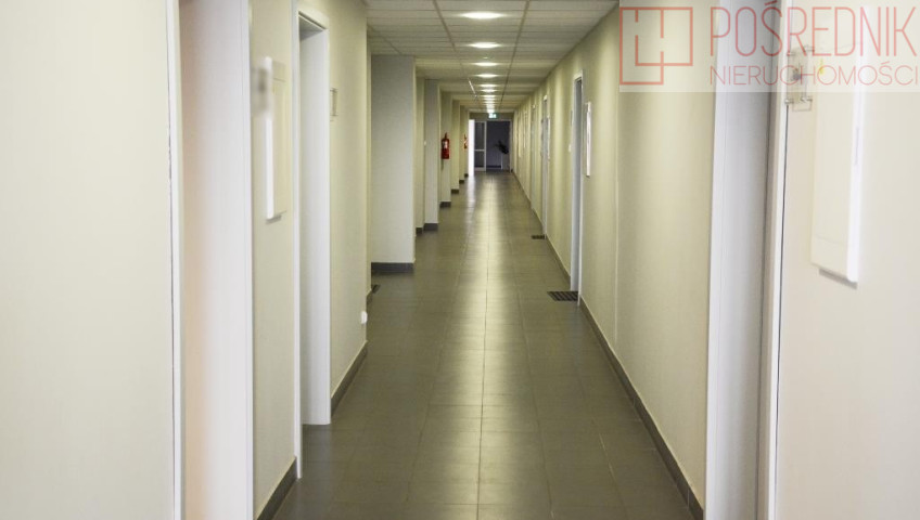 Lokal Wynajem Szczecin Śródmieście