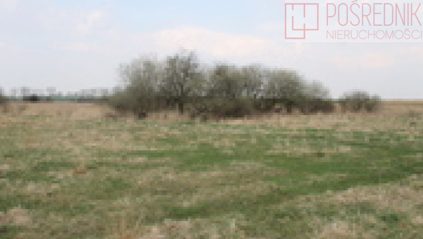 Działka Sprzedaż Barnisław
