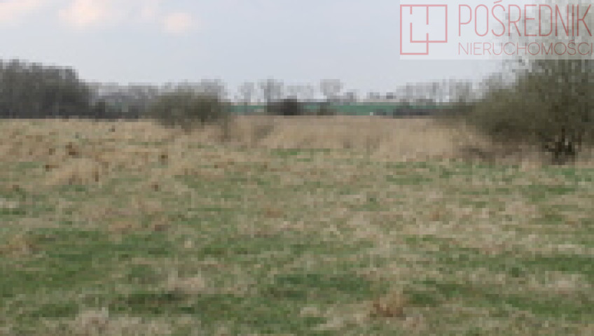 Działka Sprzedaż Barnisław