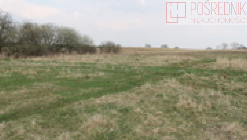 Działka Sprzedaż Barnisław