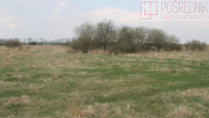 Działka Sprzedaż Barnisław