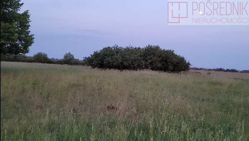 Działka Sprzedaż Lubczyna