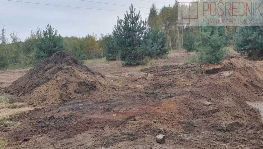 Działka Sprzedaż Borzyszewo