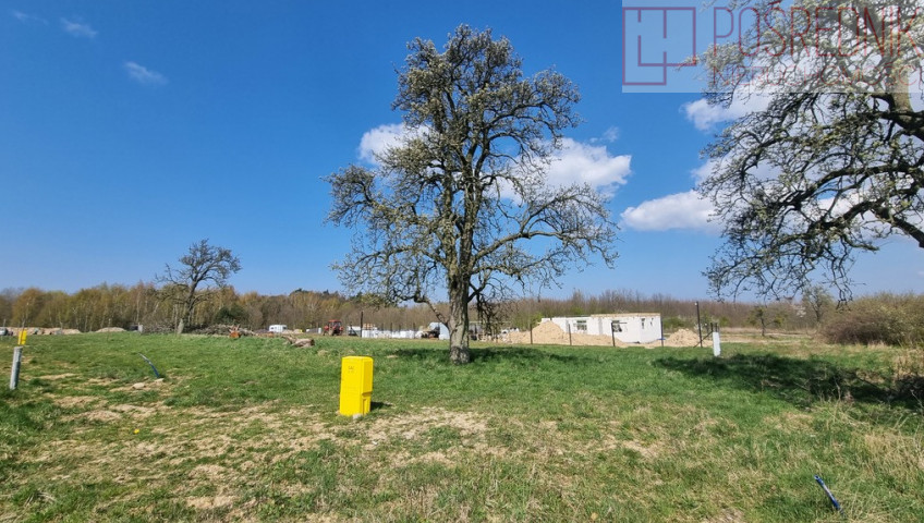 Działka Sprzedaż Szczecin Skolwin