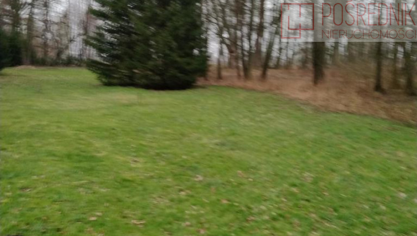 Działka Sprzedaż Rzędziny