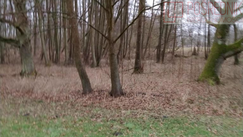 Działka Sprzedaż Rzędziny