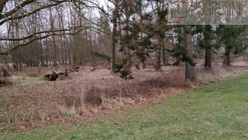 Działka Sprzedaż Rzędziny