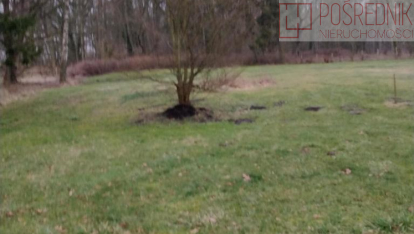 Działka Sprzedaż Rzędziny
