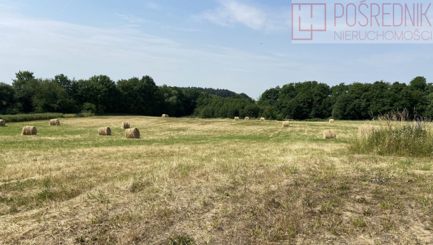Działka Sprzedaż Glinna