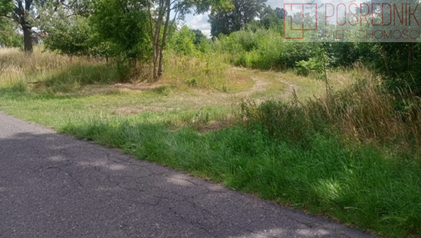Działka Sprzedaż Stara Dąbrowa