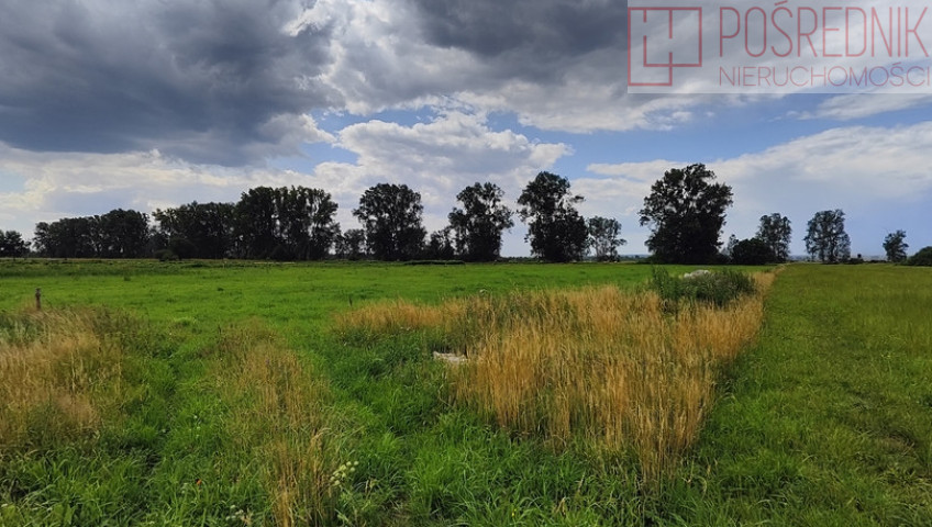 Działka Sprzedaż Rurzyca