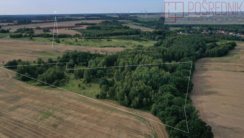 Działka Sprzedaż Prusinowo