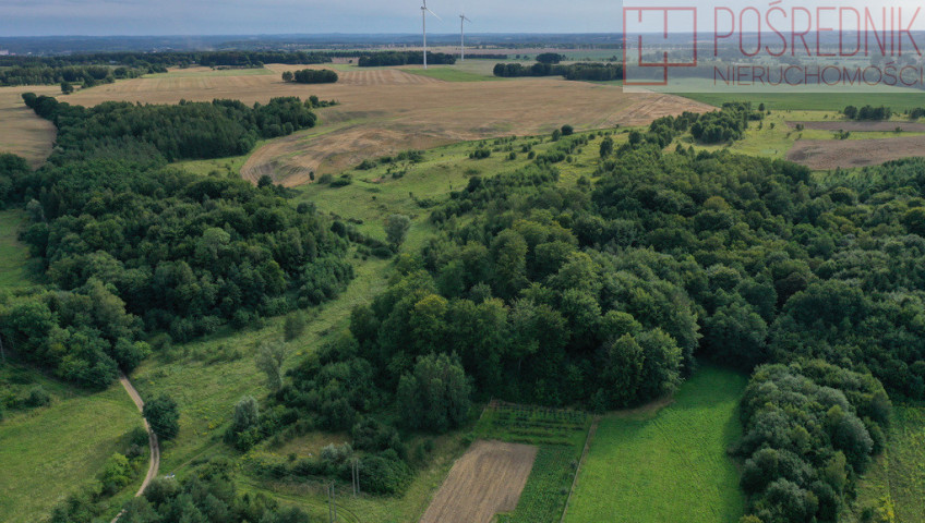 Działka Sprzedaż Prusinowo