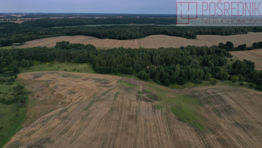 Działka Sprzedaż Prusinowo
