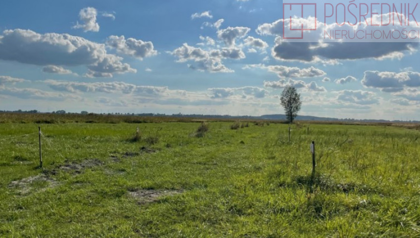 Działka Sprzedaż Wierzbno