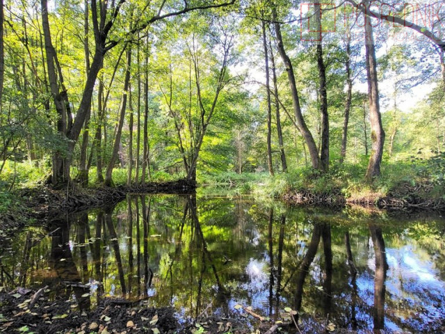 Działka Sprzedaż Staw