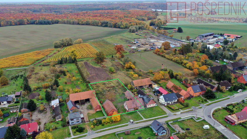 Dom Sprzedaż Kozielice