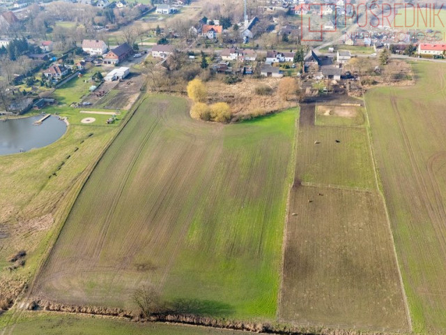 Działka Sprzedaż Będargowo