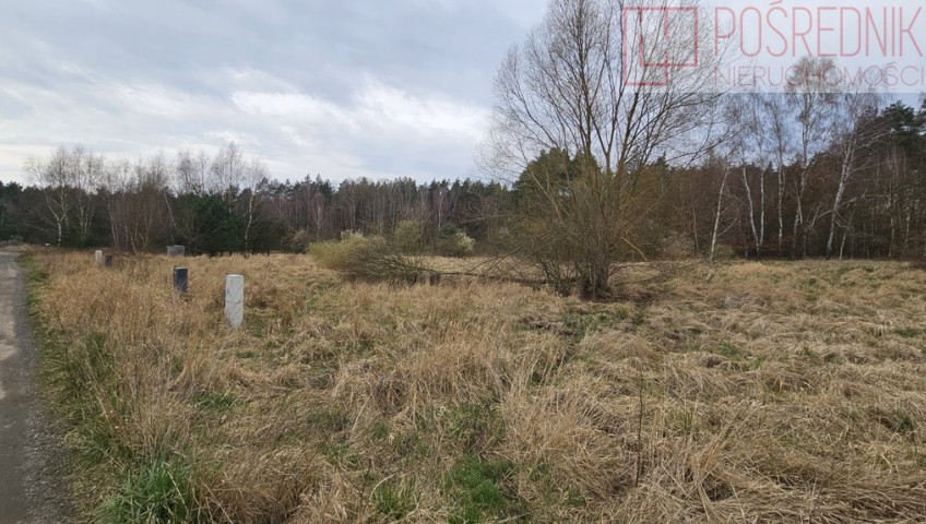 Działka Sprzedaż Dołuje