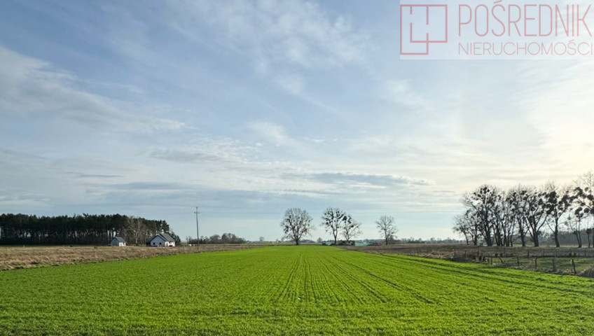 Działka Sprzedaż Borzysławiec