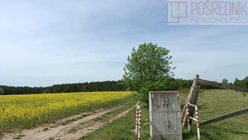 Działka Sprzedaż Stawno