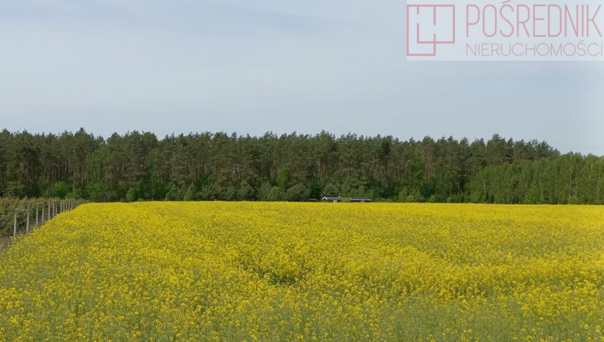 Działka Sprzedaż Stawno