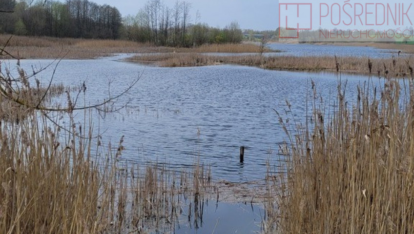 Działka Sprzedaż Zieleniewo