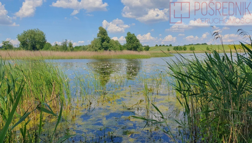 Działka Sprzedaż Zieleniewo